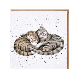 Přání Wrendale Designs "Sweet Dreams ", 15x15 cm - Kočky