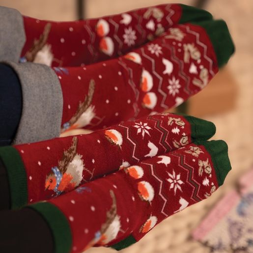 Pánské ponožky Wrendale Designs "Season