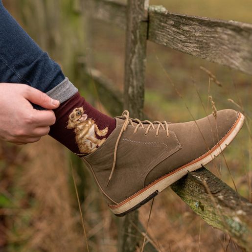 Pánské ponožky Wrendale Designs "Good as Gold" - Pes, retrívr