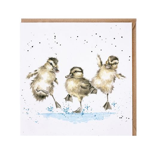 Přání Wrendale Designs "Puddle Ducks 15x15 cm - Káčátka