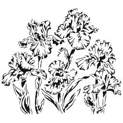 Šablona TCW - Irises - VYBERTE VELIKOST
