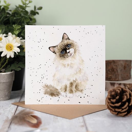 Přání Wrendale Designs "Paws for Thought", 15x15 cm - Kočka