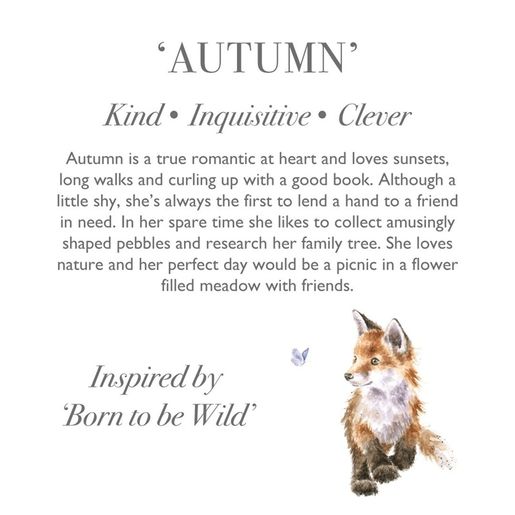 Plyšová hračka Wrendale Designs "Fox Autumn", maxi - Liška