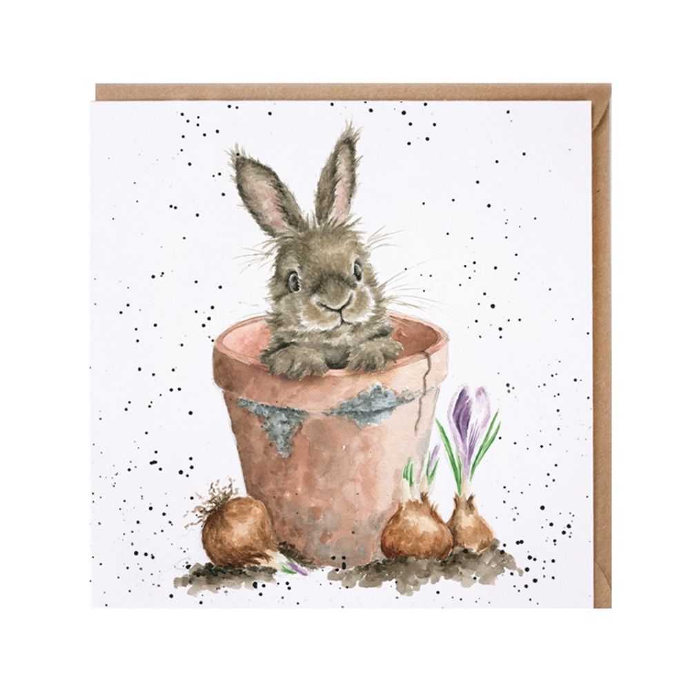 Wrendale Designs Přání Wrendale Designs "The Flower Pot", 15x15 cm - Králík v květináči