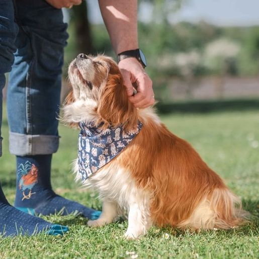 Šátek pro psy Wrendale Designs, vel. M/L - Pejsci