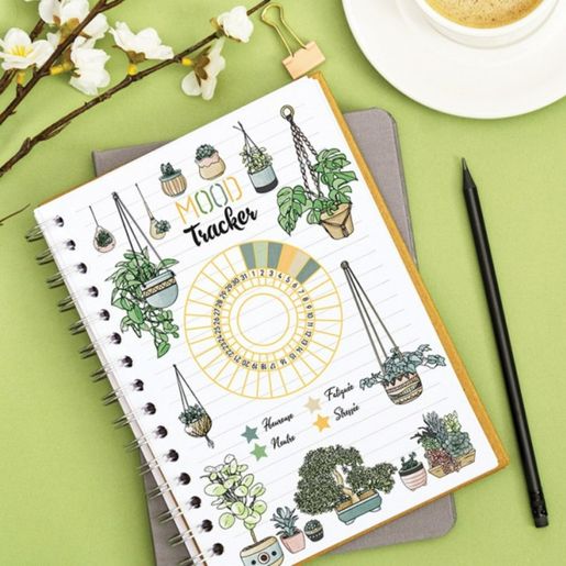 Razítka Aladine Creative Stamp, 21 ks - Pokojové rostliny