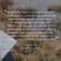 Kniha Wrendale Designs "A Wilding Year" - Rok divočiny