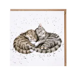 Přání Wrendale Designs "Sweet Dreams", 15x15 cm - Kočky