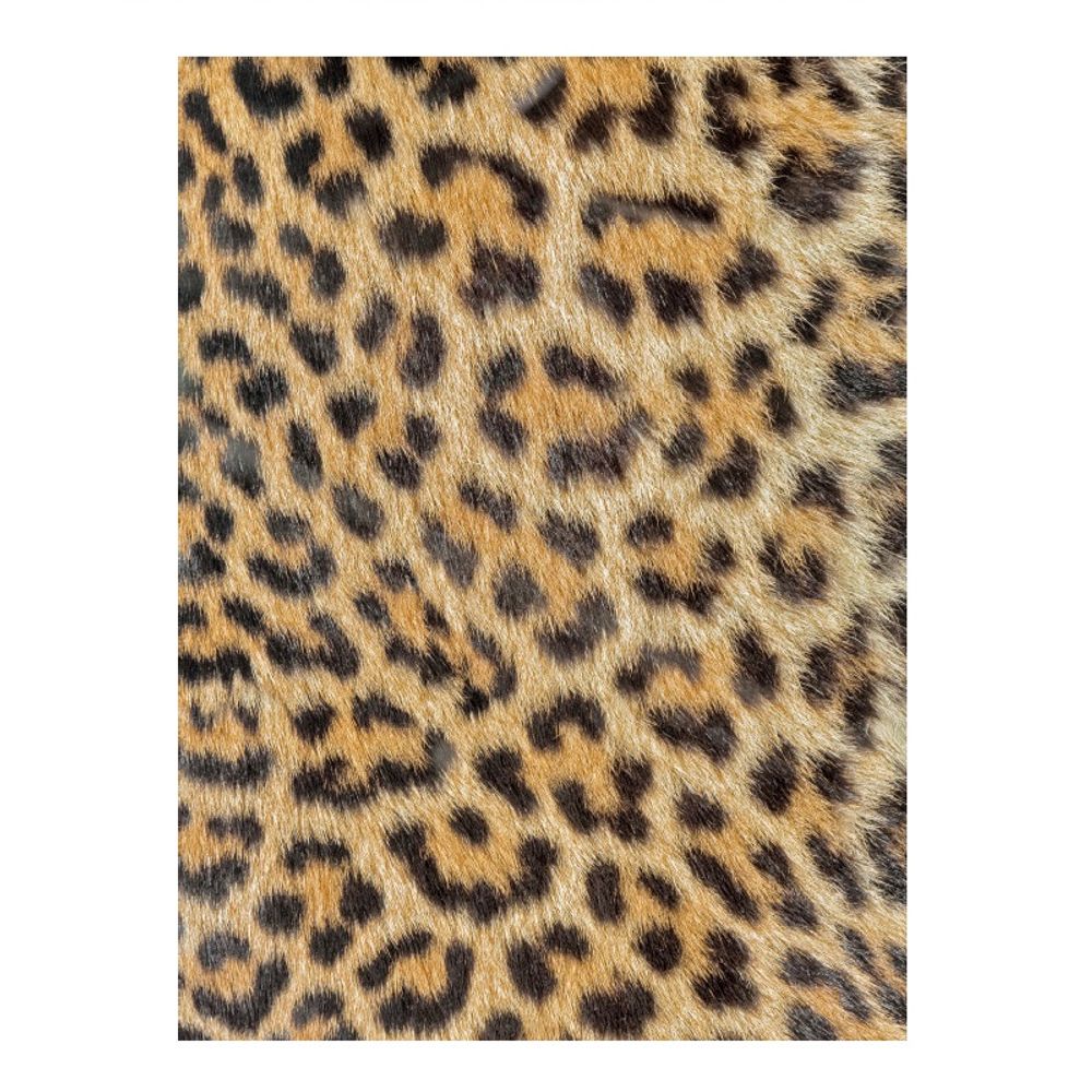 Levně Cadence Rýžový papír Cadence, A4 - Leopardí kůže