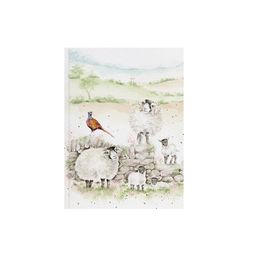 Zápisník Wrendale Designs "New Pastures", A6, 48 l., linkovaný - Ovce