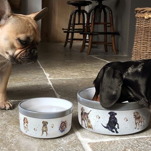 Kameninová miska pro psy Wrendale Designs, 20 cm