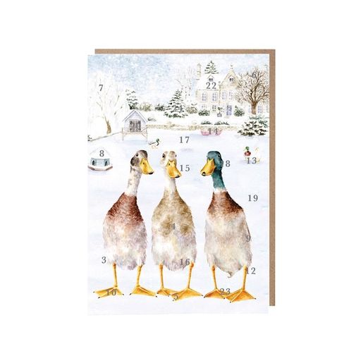 Přání s adventním kalendářem Wrendale Designs "Christmas on the Pond", A5 - Kachny
