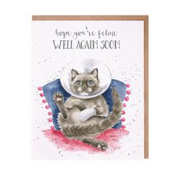 Přání Wrendale Designs "Feline Well Soon" - Kočka