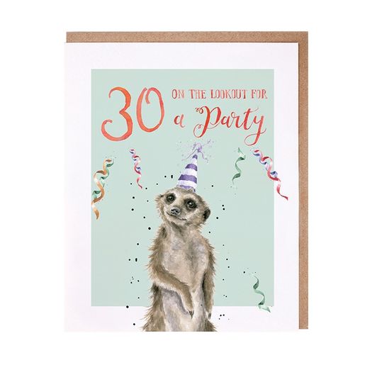 Narozeninové přání Wrendale Designs "30 On The Lookout For a Party" - Surikata