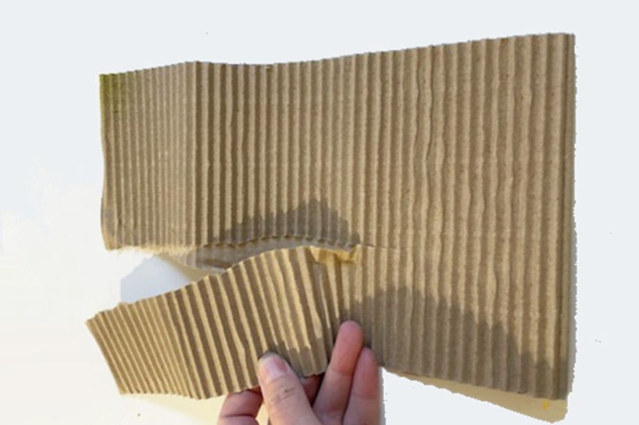 Recyklovan&aacute; srd&iacute;čka