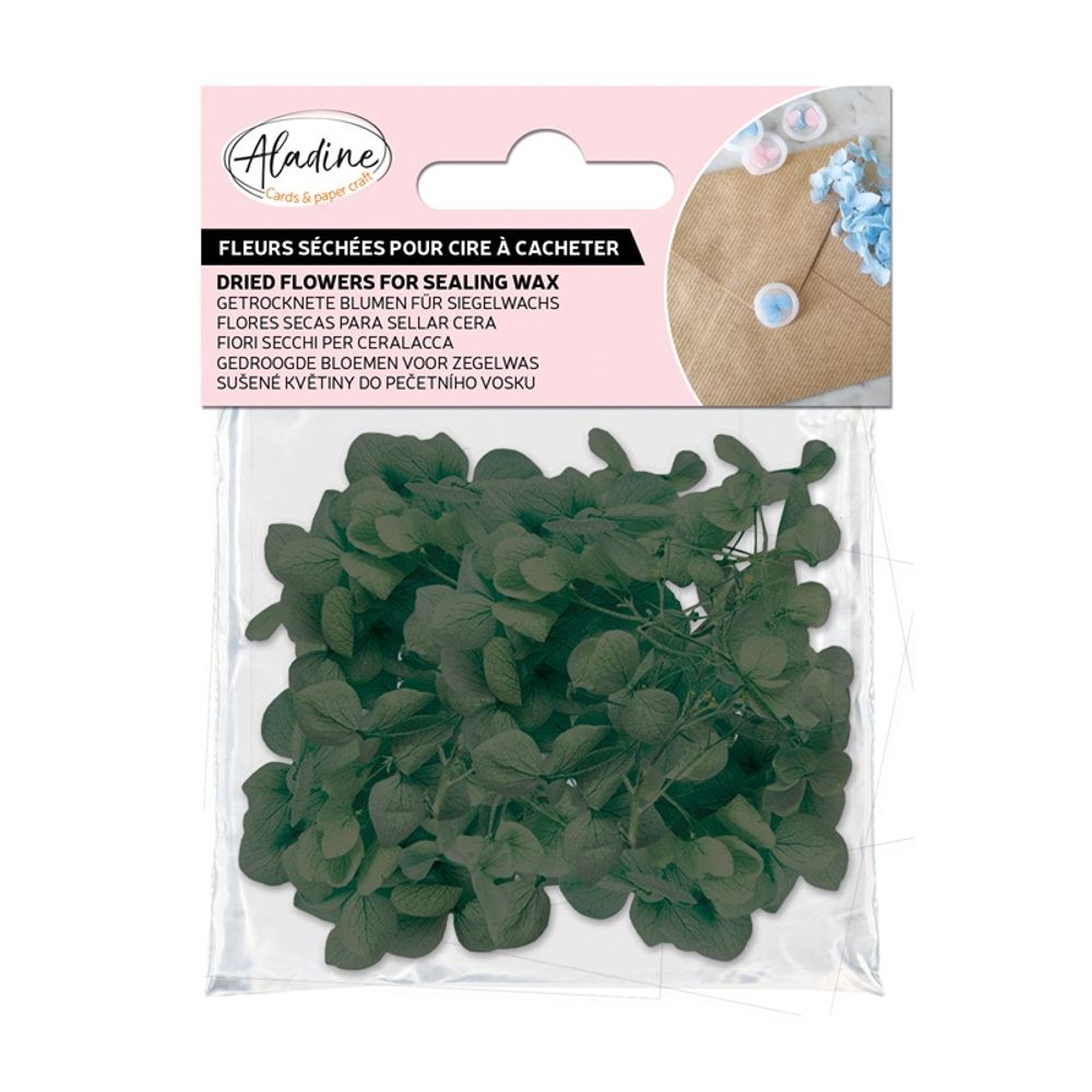 Levně Aladine Sušené květiny do pečetí Aladine - vert, zelené