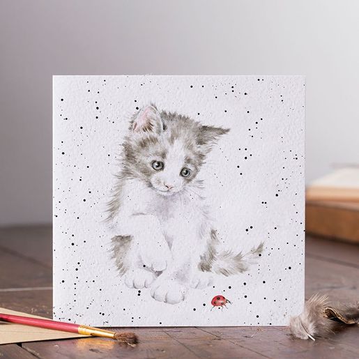 Přání Wrendale Designs "Ladybird", 15x15 cm - Kočka