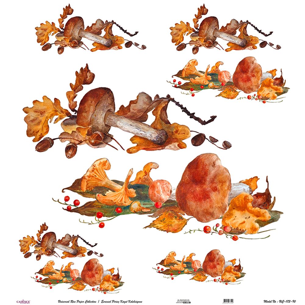 Levně Cadence Rýžový papír Cadence v roli, 90x90 cm - Houby