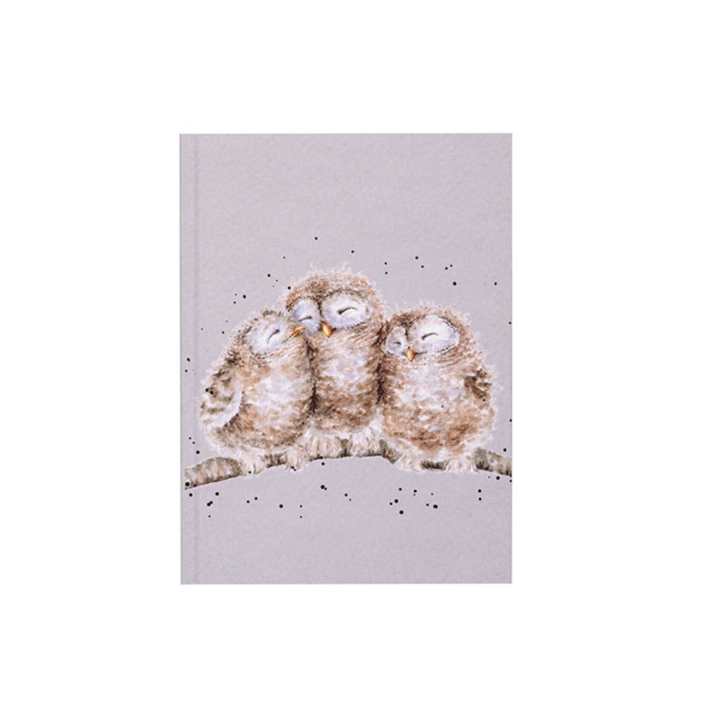 Zápisník A6 Wrendale Designs – sovy Aladine