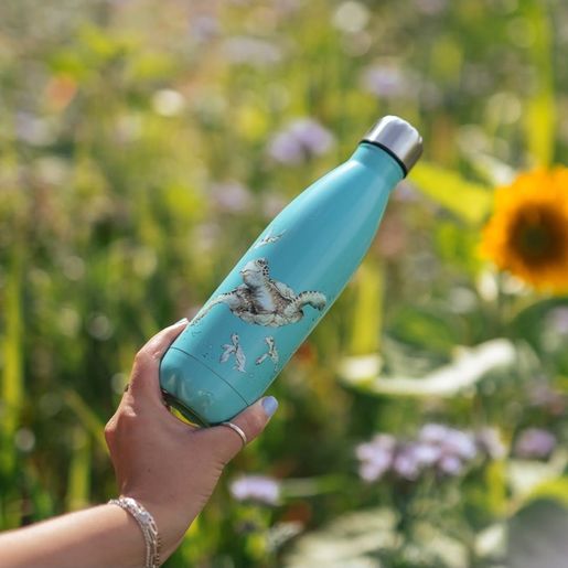 Termoska Wrendale Designs "Swimming School", 500 ml - Želva
