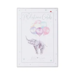 Milníkové kartičky Wrendale Designs, 24 ks - Můj první rok