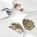 Jídelní porcelánový talíř Wrendale Designs - Sova