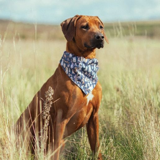 Šátek pro psy Wrendale Designs, vel. M/L - Pejsci