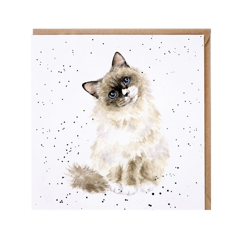 Wrendale Designs Přání Wrendale Designs "Paws for Thought", 15x15 cm - Kočka