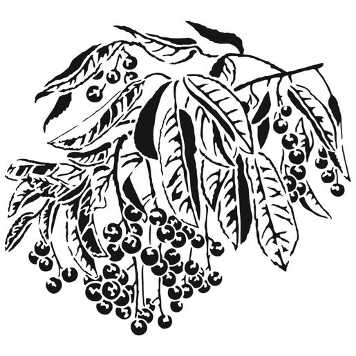 Šablona TCW - Sweet Berries - VYBERTE VELIKOST