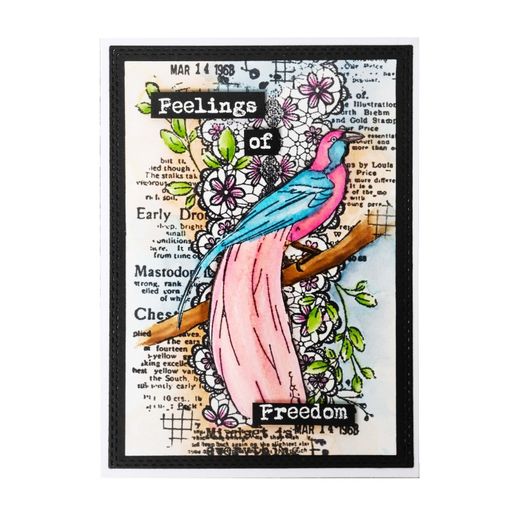 Gelové razítko Studio Light "Feelings of Freedom", 9x19 cm - Ptáčci z džungle