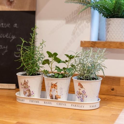 Květináče Wrendale Designs "Woodland", 3 ks - Králík, liška, červenka