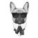Nažehlovací nálepka, pes s brýlemi - 21 x 30 cm
