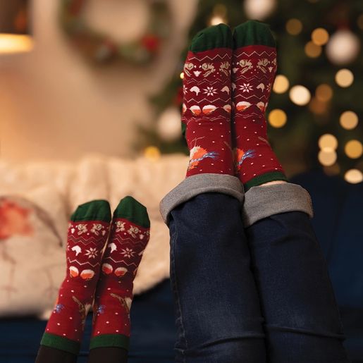 Pánské ponožky Wrendale Designs "Season