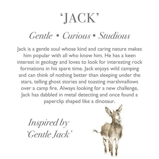 Plyšová hračka Wrendale Designs "Donkey Jack", super - Oslík