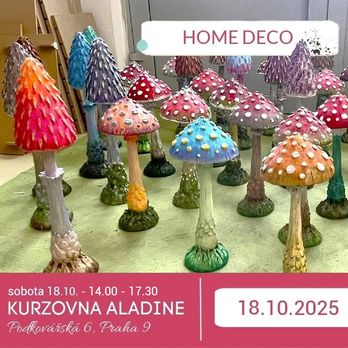 Houba na terasu