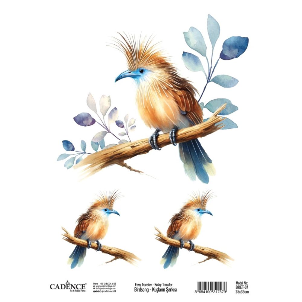 Levně Cadence Transferový obrázek Cadence Easy Transfer, 25x35 cm - Pták s modrým zobákem