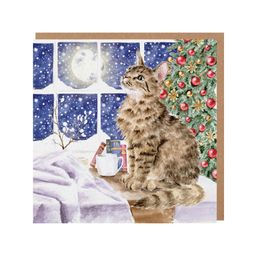 Přání Wrendale Designs "Christmas Stars", 15x15 cm - Vánoční kočka