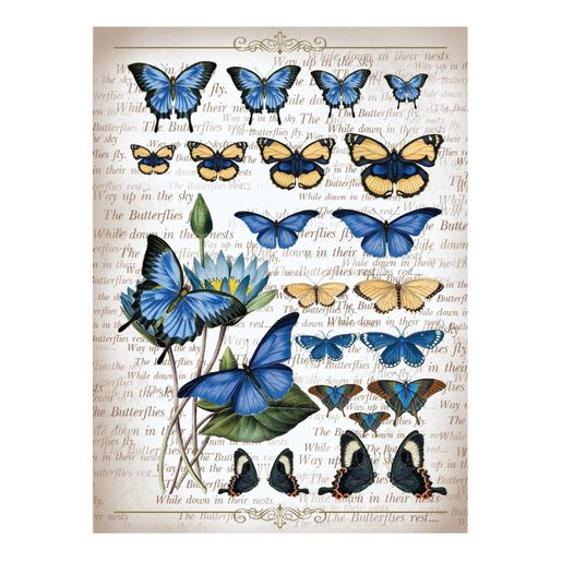 Rýžový papír Cadence, A4 - Atlas motýlů