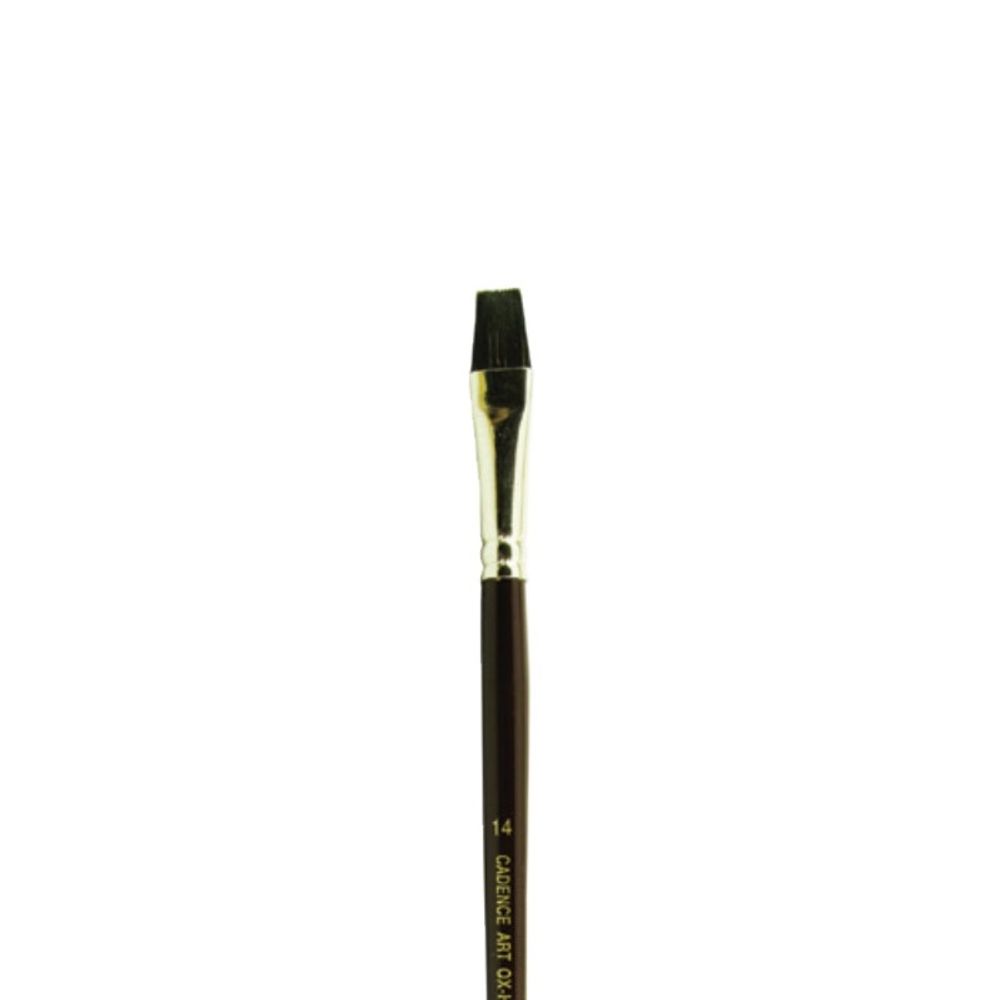 Cadence Plochý štětec Cadence 210 Ox Hair Brush - VYBERTE VELIKOST - Plochý štětec Cadence 210 Ox Hair Brush - vel. 14
