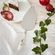 Lopatka na dort s porcelánovou rukojetí Wrendale Designs "Christmas Scarves" - Husa