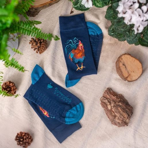 Pánské ponožky Wrendale Designs "Colours of the Rainbow" - Kohout