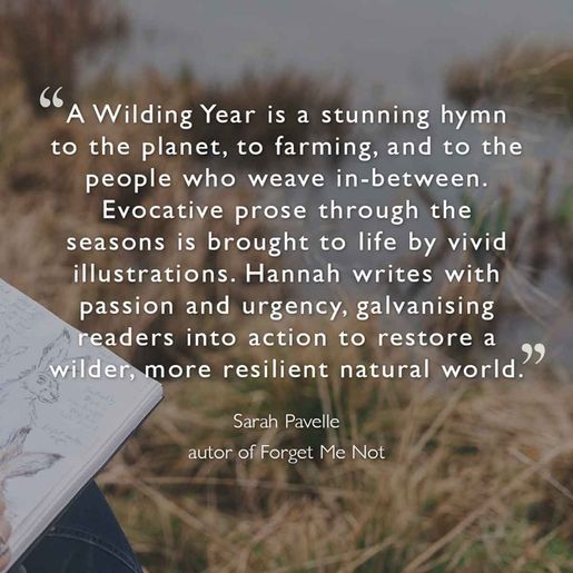 Kniha Wrendale Designs "A Wilding Year" - Rok divočiny