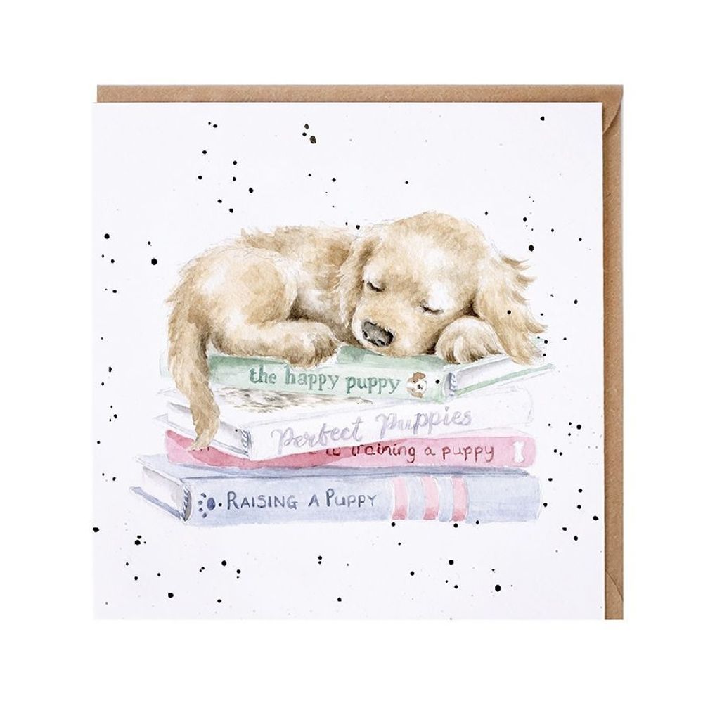 Wrendale Designs Přání Wrendale Designs "A Pup's Life", 15x15 cm - Štěně