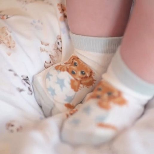 Dětské ponožky Wrendale Designs "Little Paws" - Štěňátka - VYBERTE VELIKOST