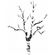 Šablona TCW 6"x6" (15,2x15,2 cm) - Shadow Tree