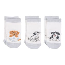 Dětské ponožky Wrendale Designs "Little Paws", 0-6 měs., 3 páry - Štěňátka