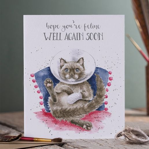 Přání Wrendale Designs "Feline Well Soon" - Kočka