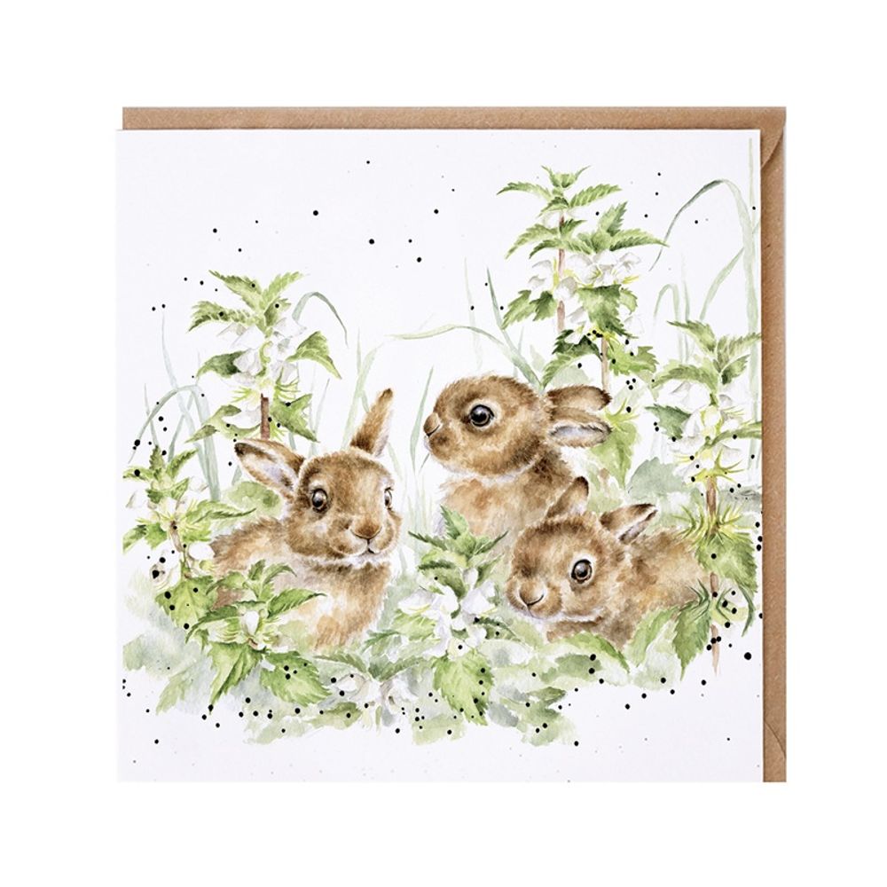 Levně Wrendale Designs Přání Wrendale Designs "Spring Hares", 15x15 cm - Zajíci