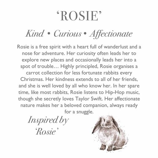 Plyšová hračka Wrendale Designs "Rabbit Rosie" - Králík, mládě