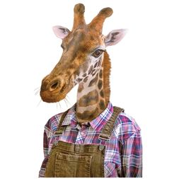 Transferový obrázek na textil Cadence, 21x30 cm - Žirafa